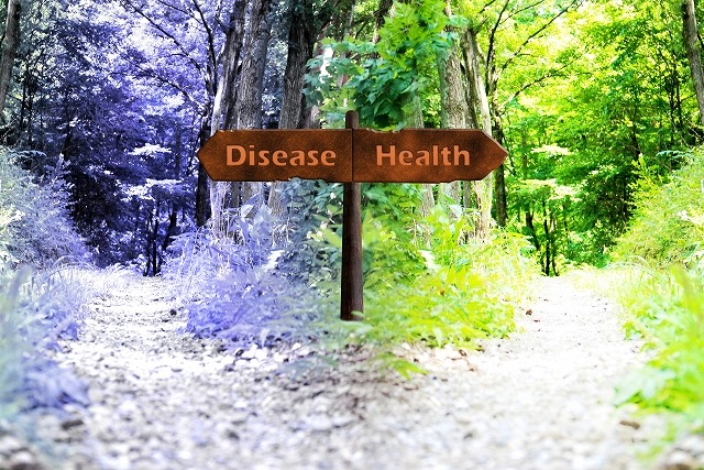 健康と病気の分かれ道