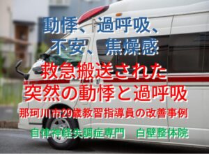 動悸、過呼吸、不安、焦燥感などのパニックの症状が整体で楽になった那珂川市の方が乗った救急車のイメージ画像